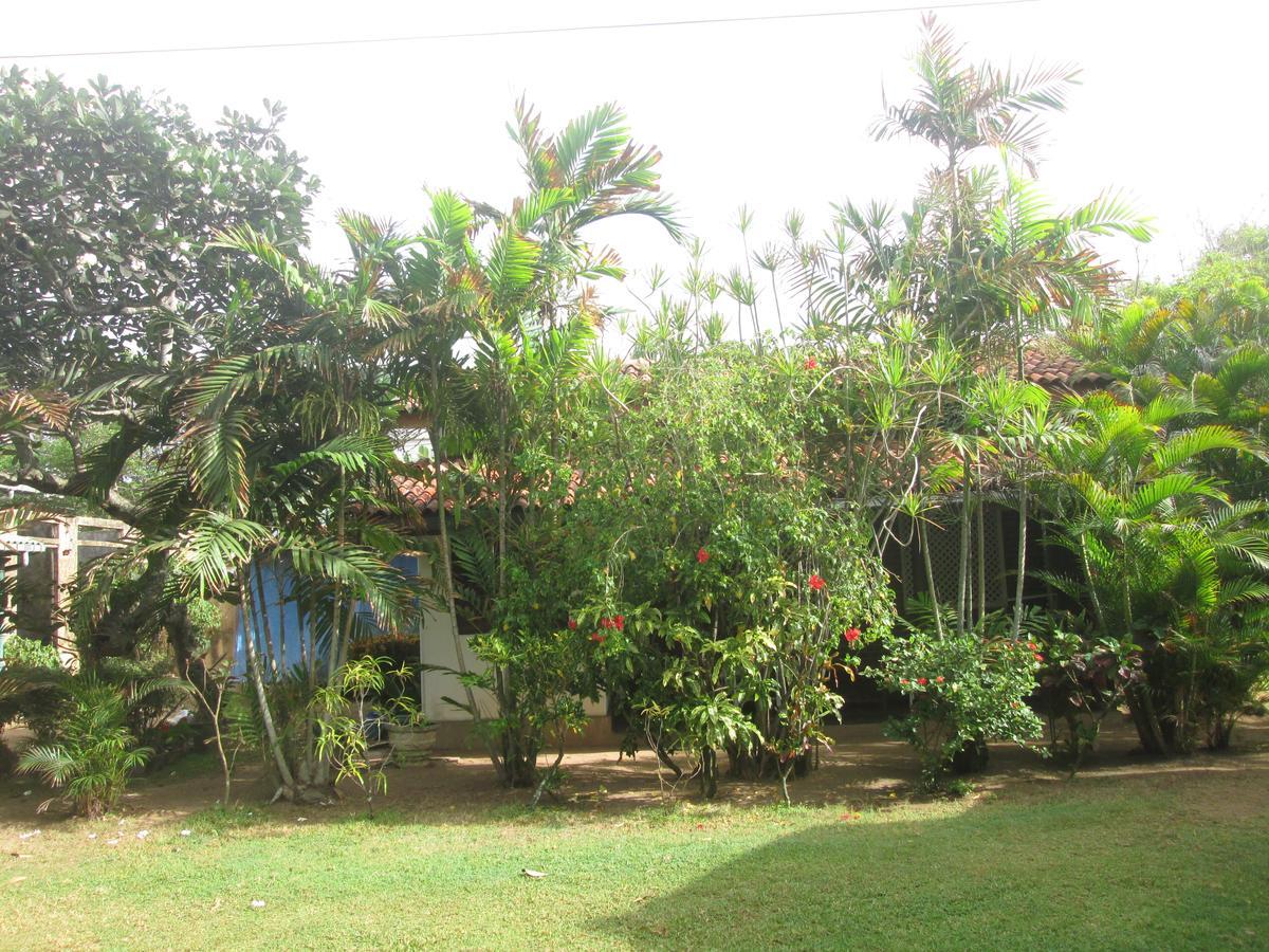 Cottage Garden Bungalows โมราตูวา ภายนอก รูปภาพ